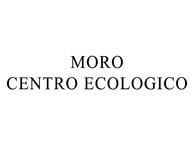 Circolo Ippico Little Rock - Equitazione e Laghetto Pesca Trote a Fabriano